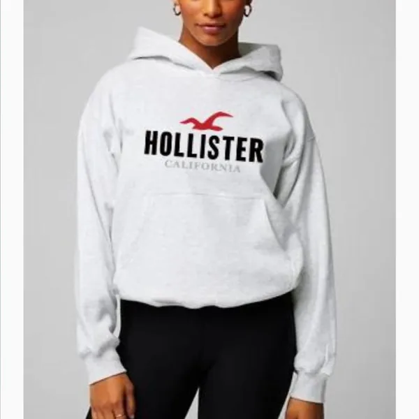 Sudadera Hollister