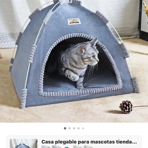 Casa mascota